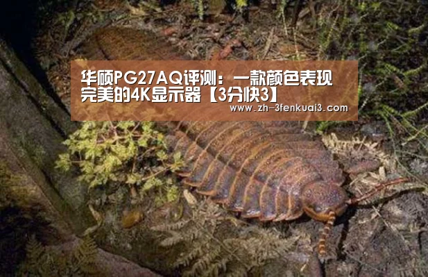 3分快3
