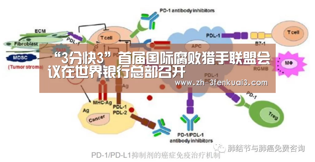 “3分快3”首届国际腐败猎手联盟会议在世界银行总部召开(图3) 3分快3