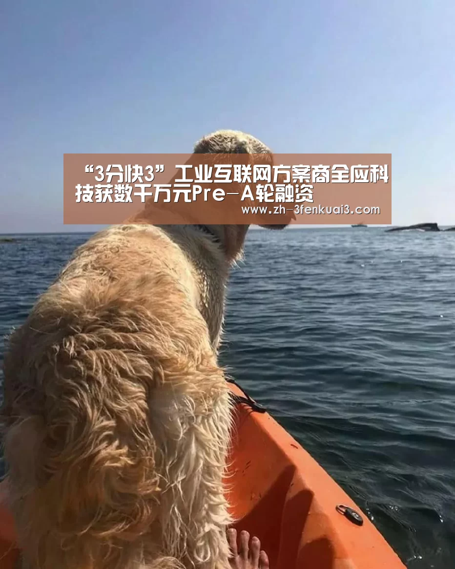 3分快3