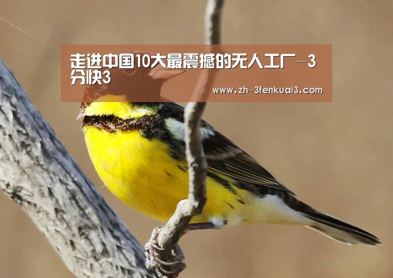 走进中国10大最震撼的无人工厂-3分快3(图2) 3分快3