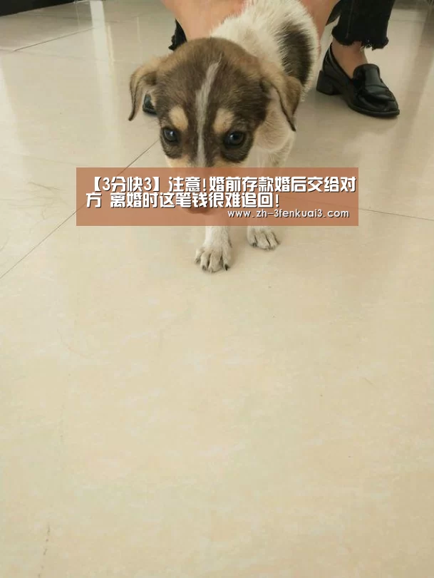 【3分快3】注意!婚前存款婚后交给对方 离婚时这笔钱很难追回!(图1) 3分快3